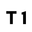 TACTIKONE logo